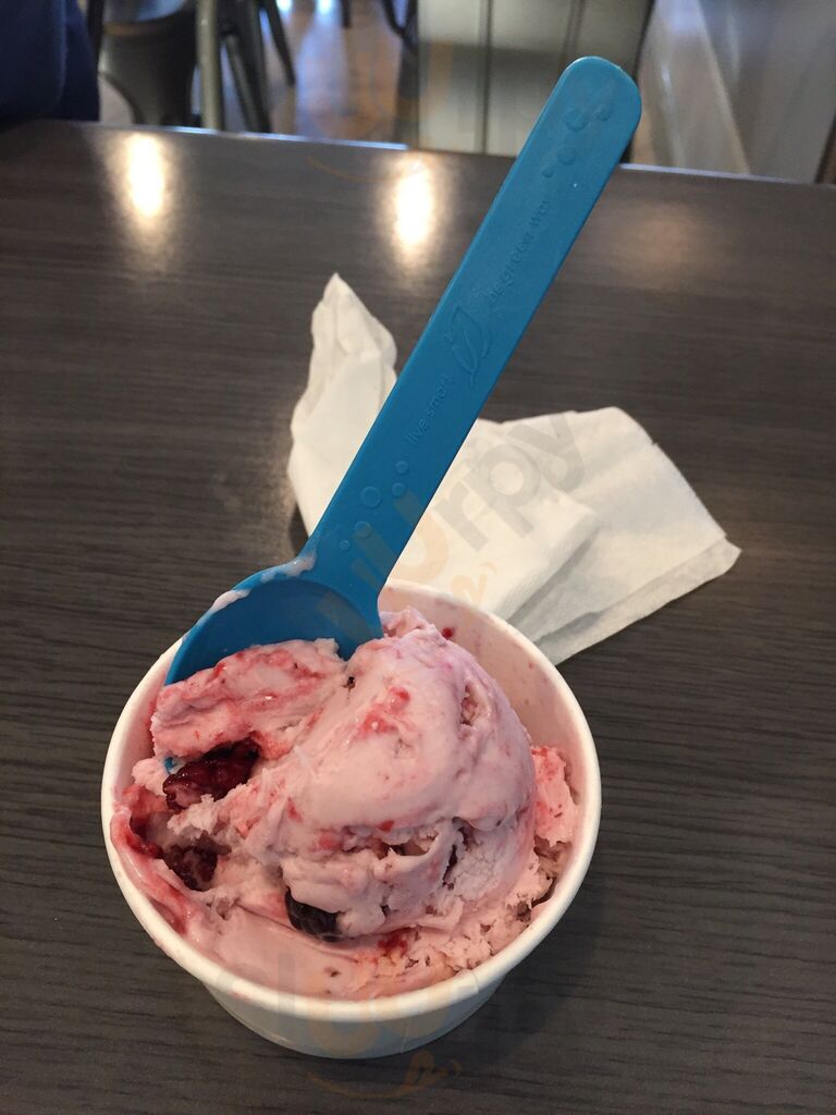 Chill-n Nitrogen Ice Cream Weston