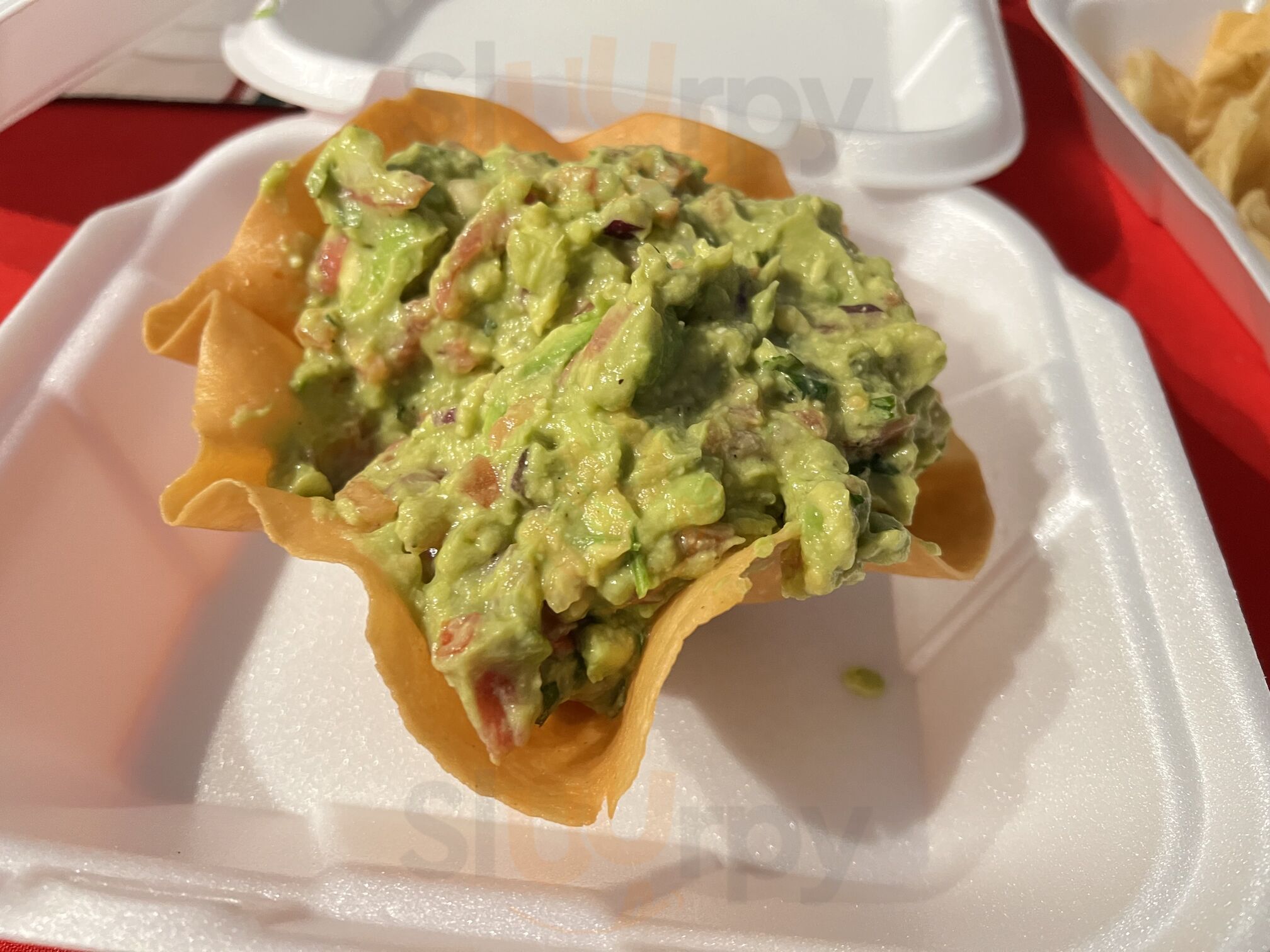 Taco Vazquez