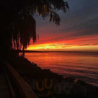 Castaways On The Lake