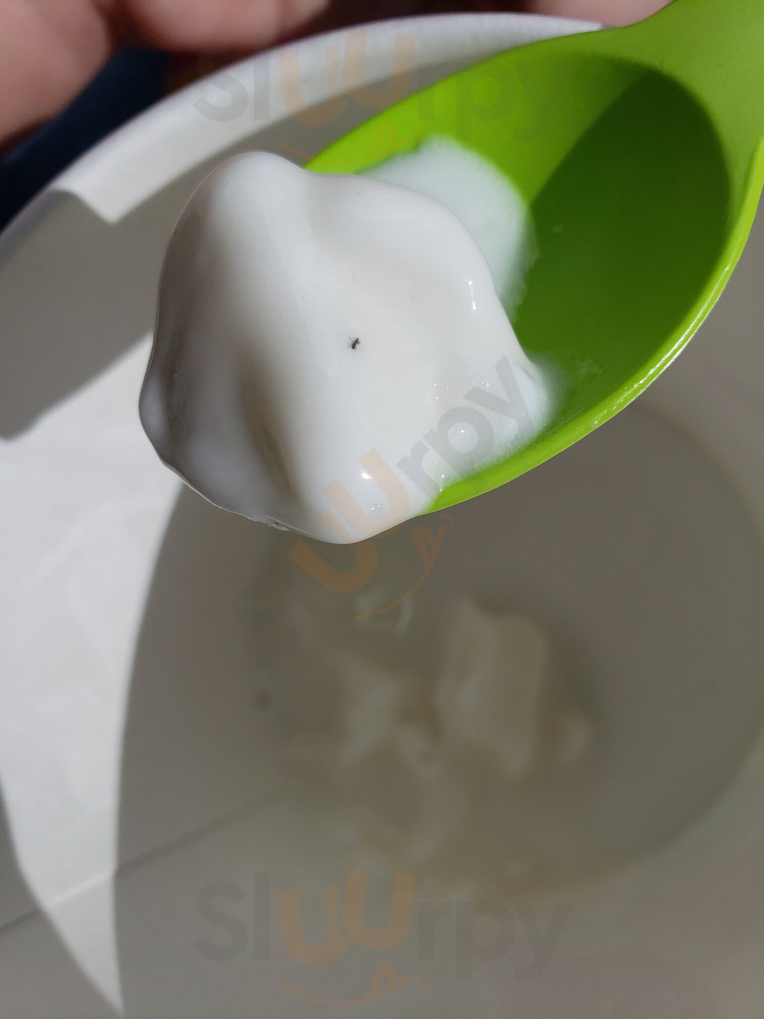 Yogurtland