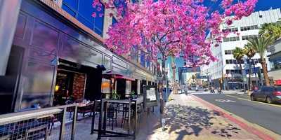 Sangria Tapas & Wine