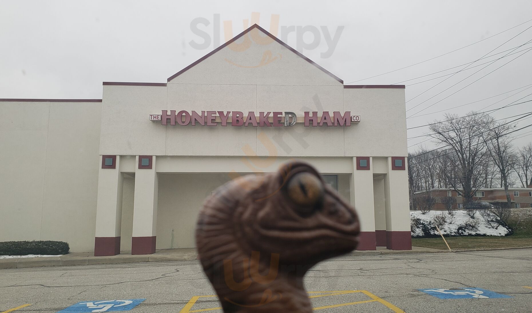 The Honey Baked Ham Company