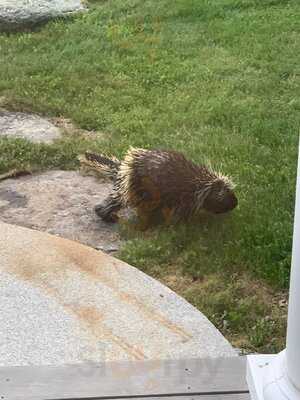 Wild Oats Bakery & Cafe