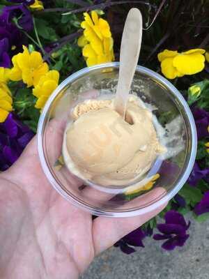 18° Celcius Micro Batch Ice Cream