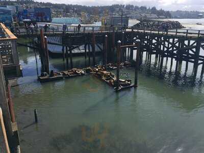 Bayscapes Gallery & Coffeehouse