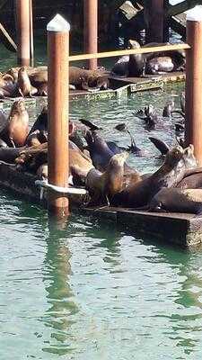 Bayscapes Gallery & Coffeehouse