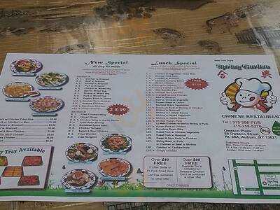 Spring Garden Chinese Restaurant