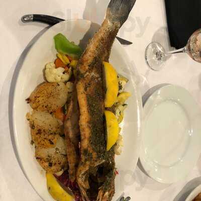 Phoenicia Mediterranean