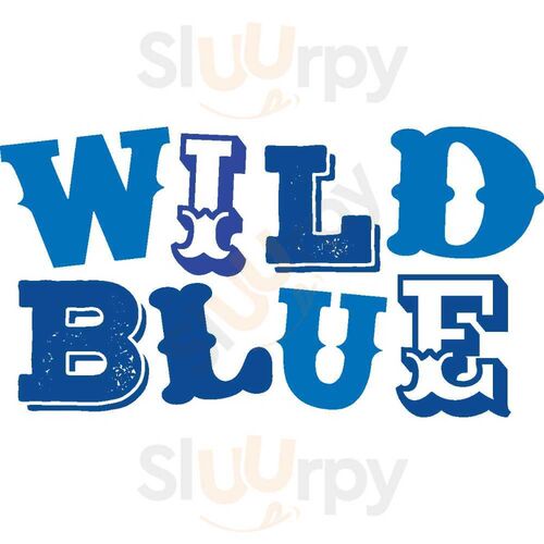 Wild Blue Grand Haven