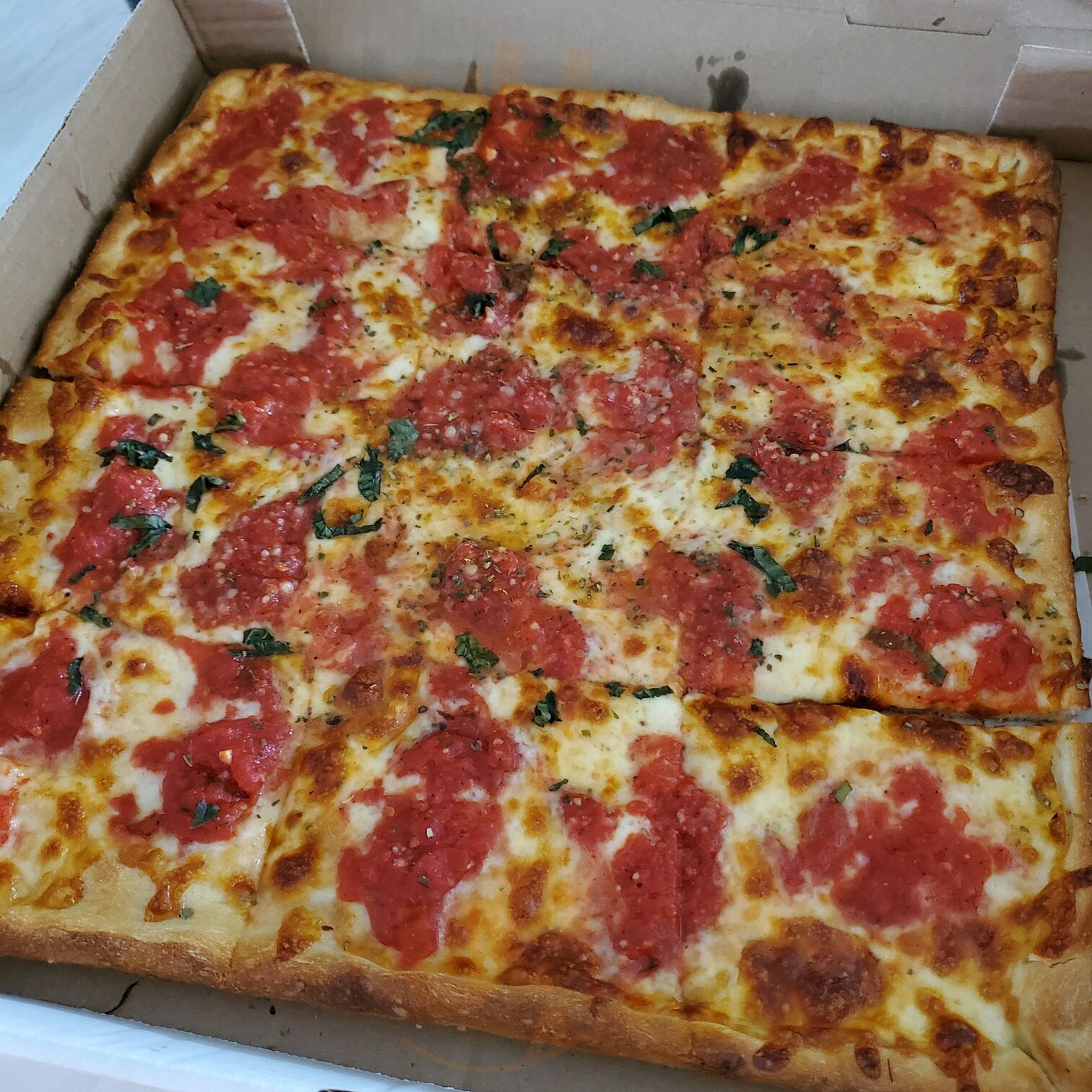 Formaggio Pizza