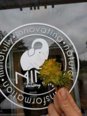 Mint Restaurant, Juicery And Yoga