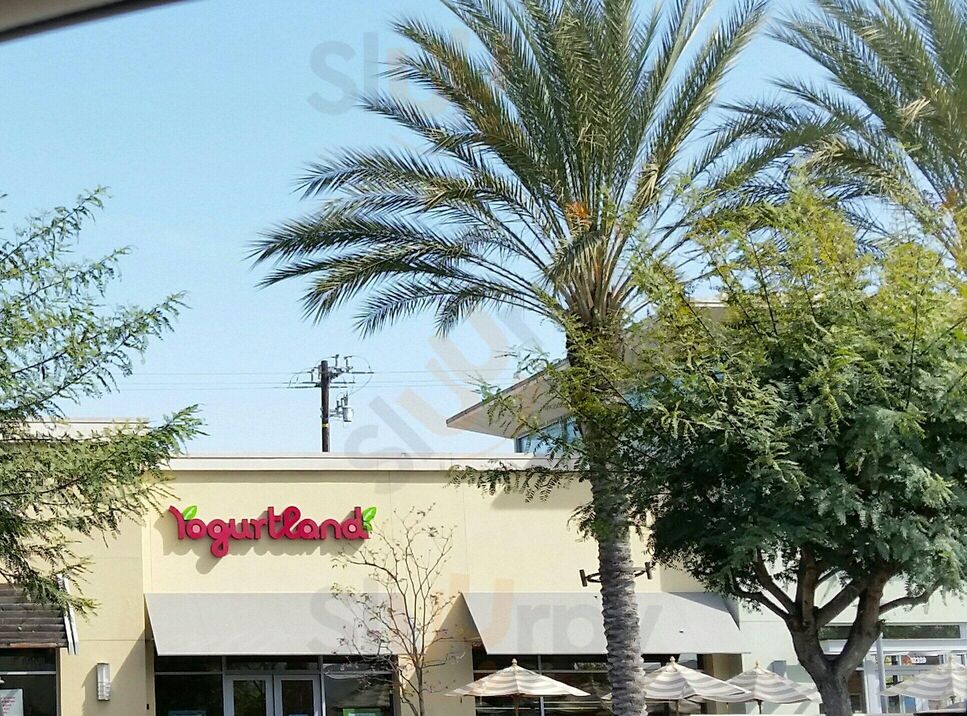 Yogurtland