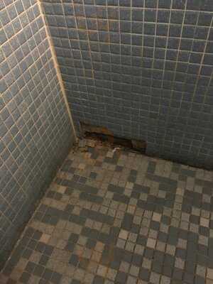 Tj's For Great Food - Breakfast And Lunch