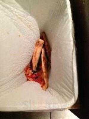 Joe's Fleetwood Pizzeria