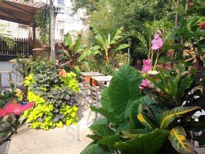 Ripe Kitchen And Bar