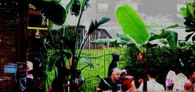 Ripe Kitchen And Bar