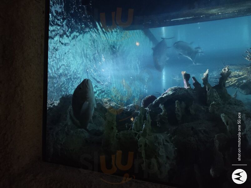 Aquarium Restaurant