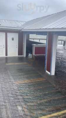 American Fish Company