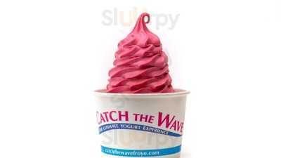 Catch The Wave The Ultimate Yogurt Experience