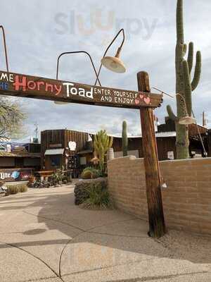 The Horny Toad