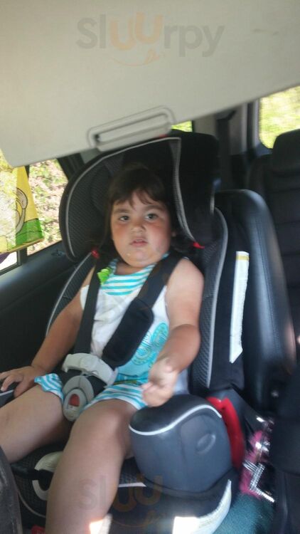 Hwy 55 Burgers Shakes & Fries