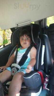 Hwy 55 Burgers Shakes & Fries