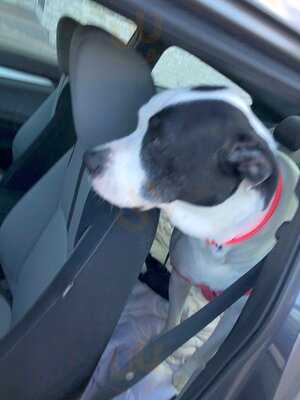 Supreme Philly Cheesesteak