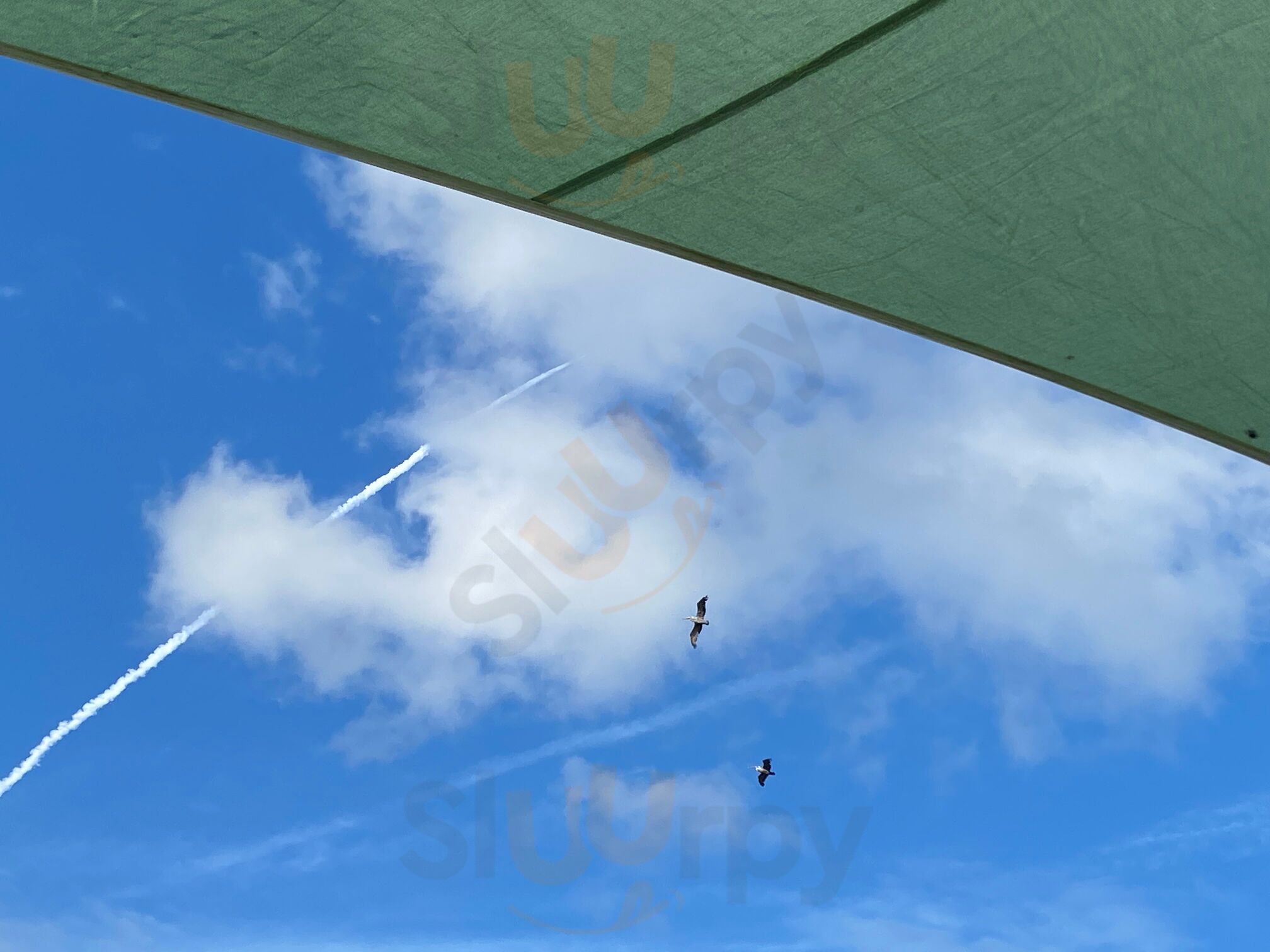 Grills Seafood Deck & Tiki Bar