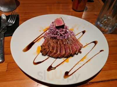 The Bearded Dogg Lounge