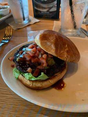 Bj's Restaurant & Brewhouse