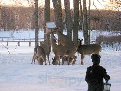 Inn The Woods Restaurant