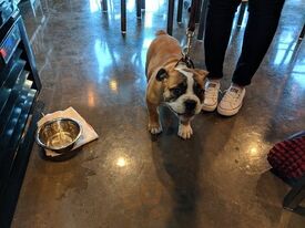 Craft Centric Taproom & Bottle Shop