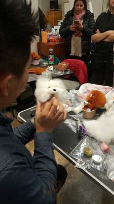 Main Street Submarines