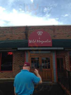 Wild Magnolia