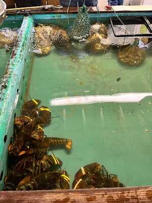 Young's Lobster Pound