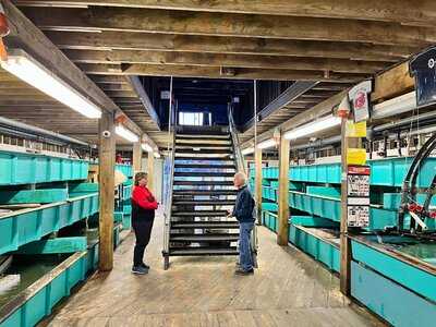 Young's Lobster Pound