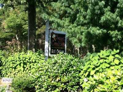 Sweet Carolines Ice Cream