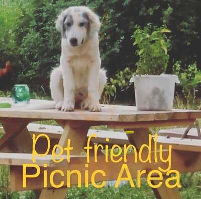 Sandwich Pizza House