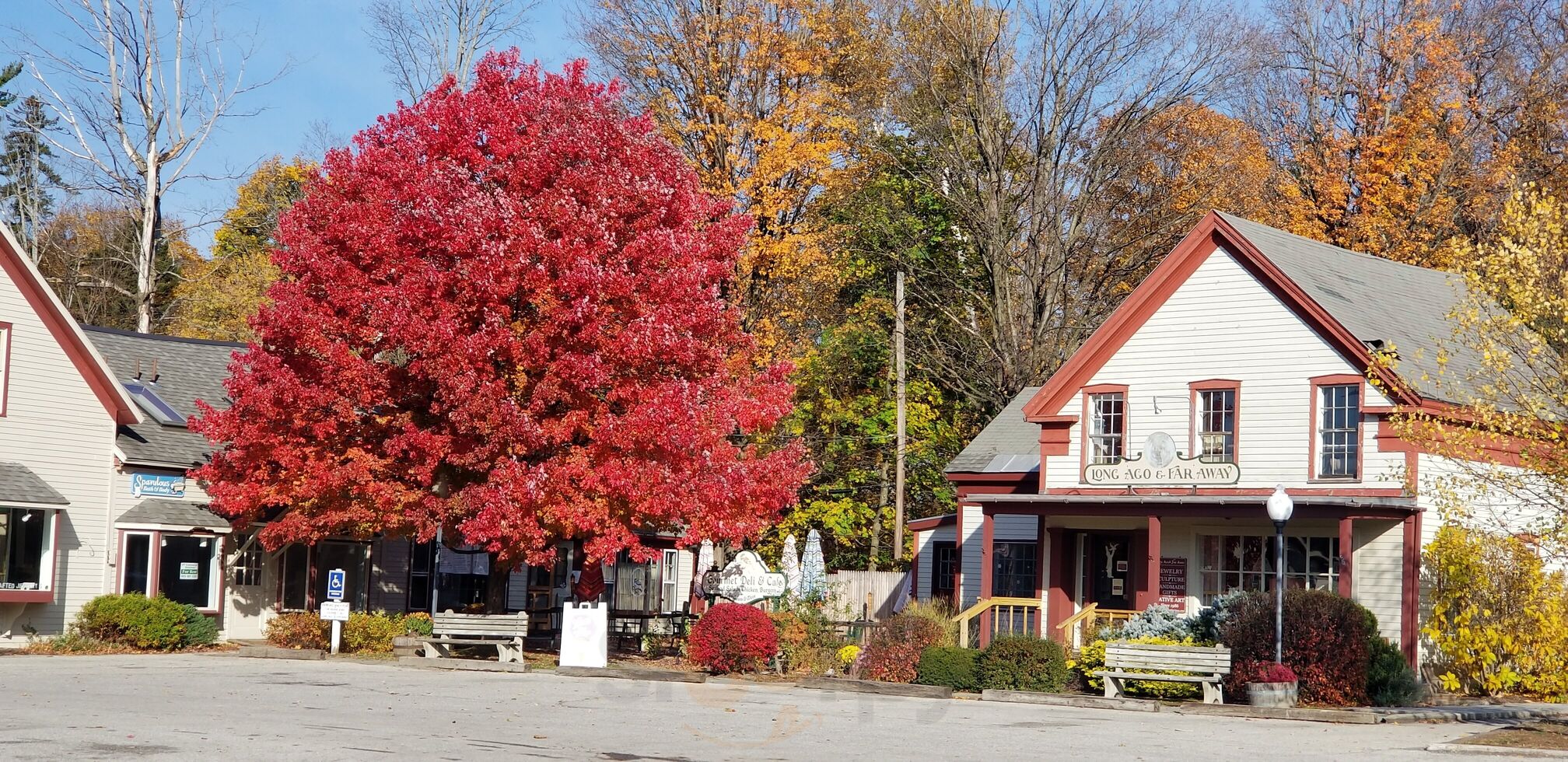 The Gourmet Deli & Cafe