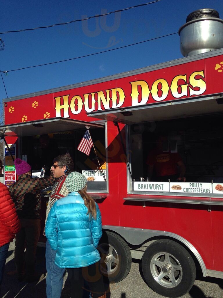 Hound Dogs