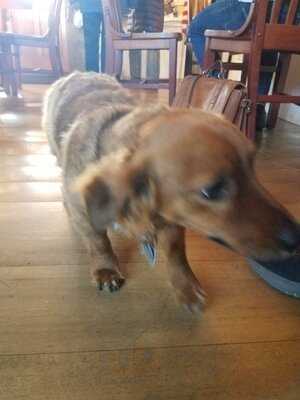 Charlie's Coffee House