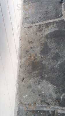 Foto 57740151
