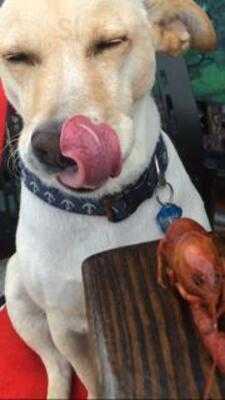 Guidry's Cruisin Cajun Crawfish