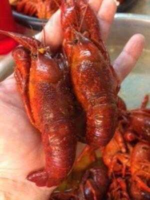 Guidry's Cruisin Cajun Crawfish