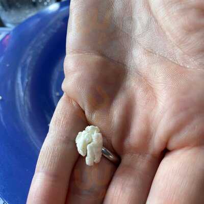 Mellow Mushroom Blowing Rock