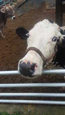 The Yardarm Resturant