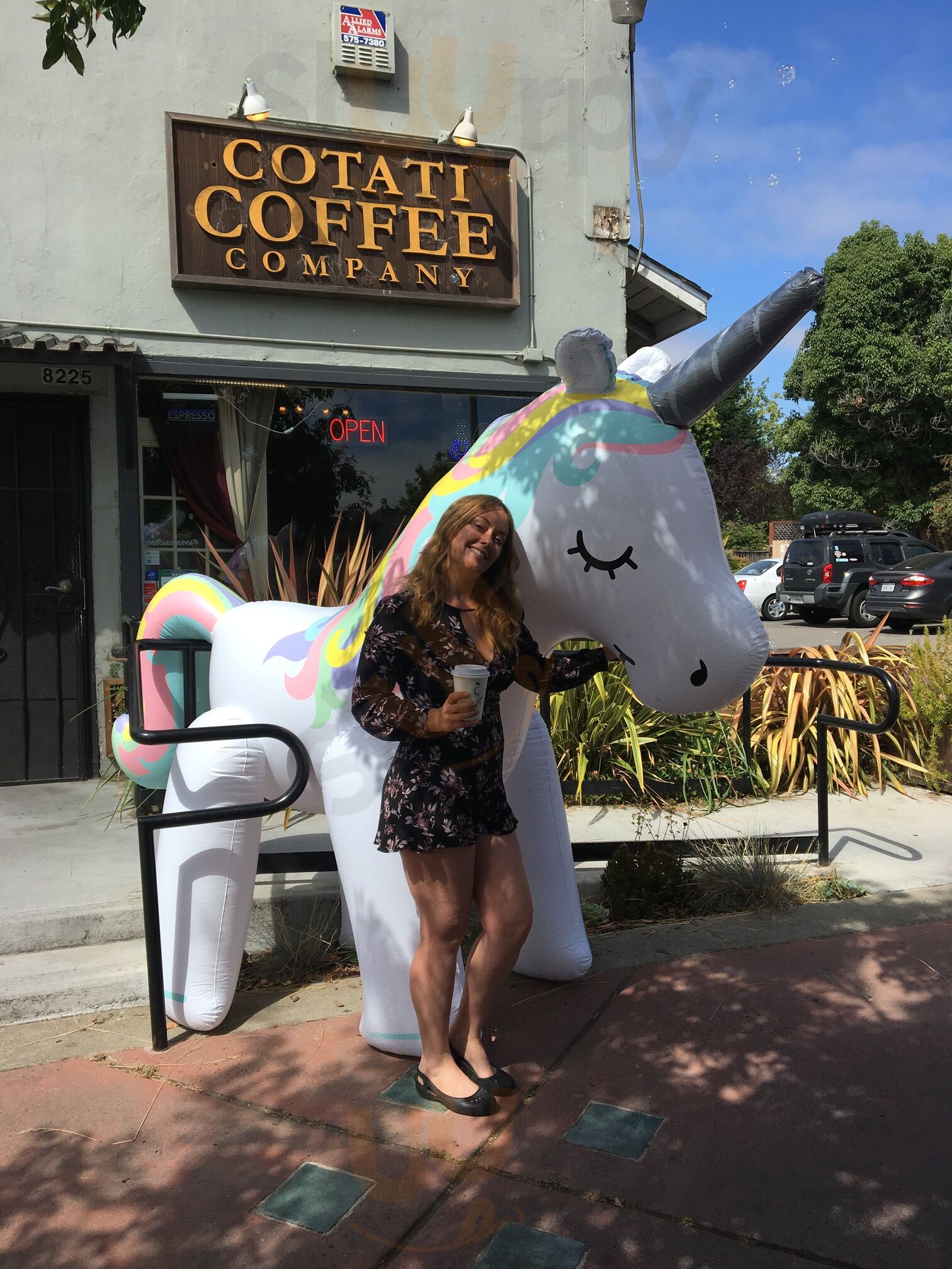 Cotati Coffee Company