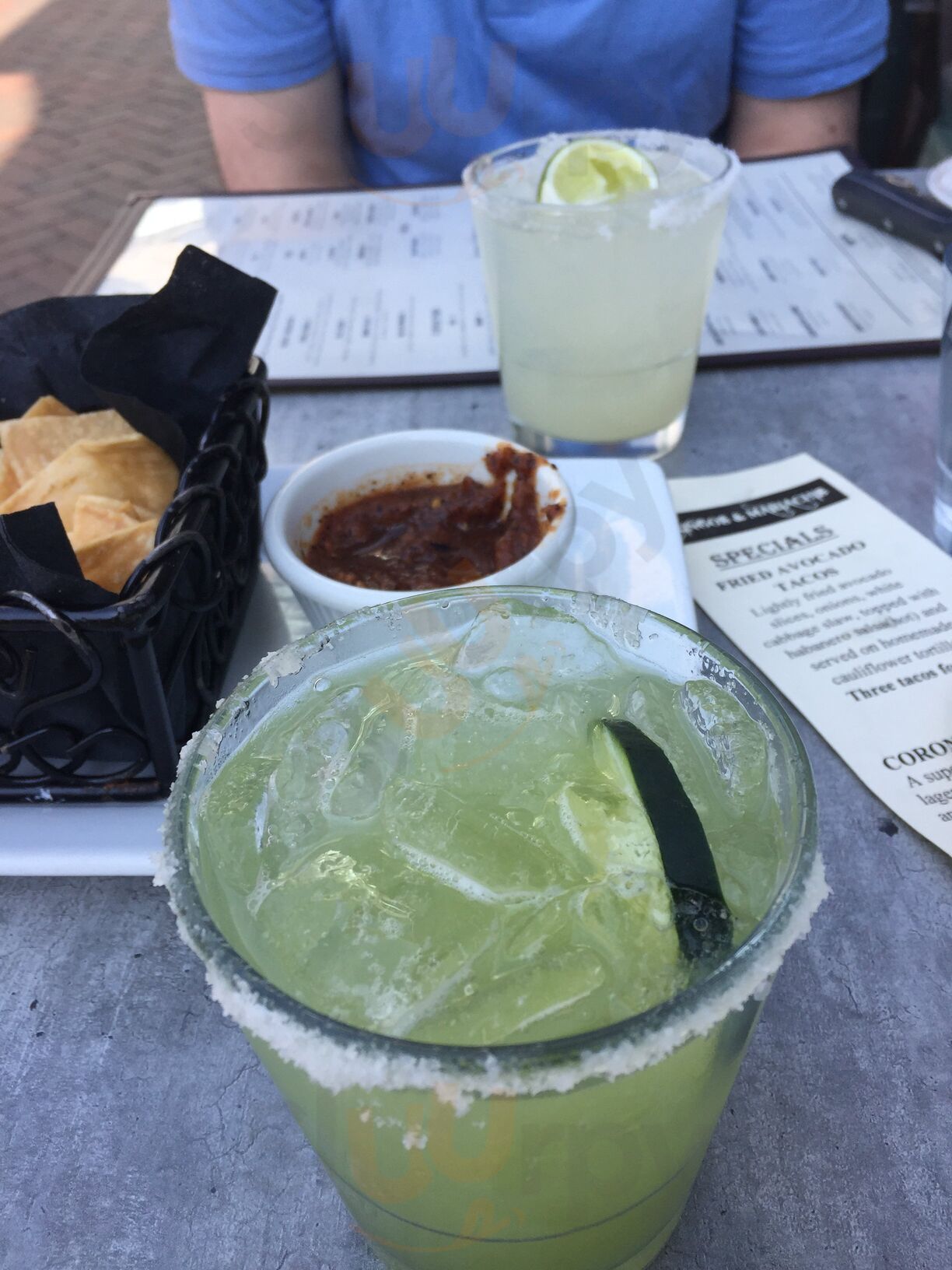 Gringos & Mariachis