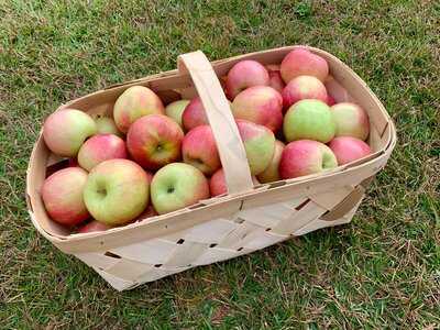 J&m Produce And J&m General Store & Grill