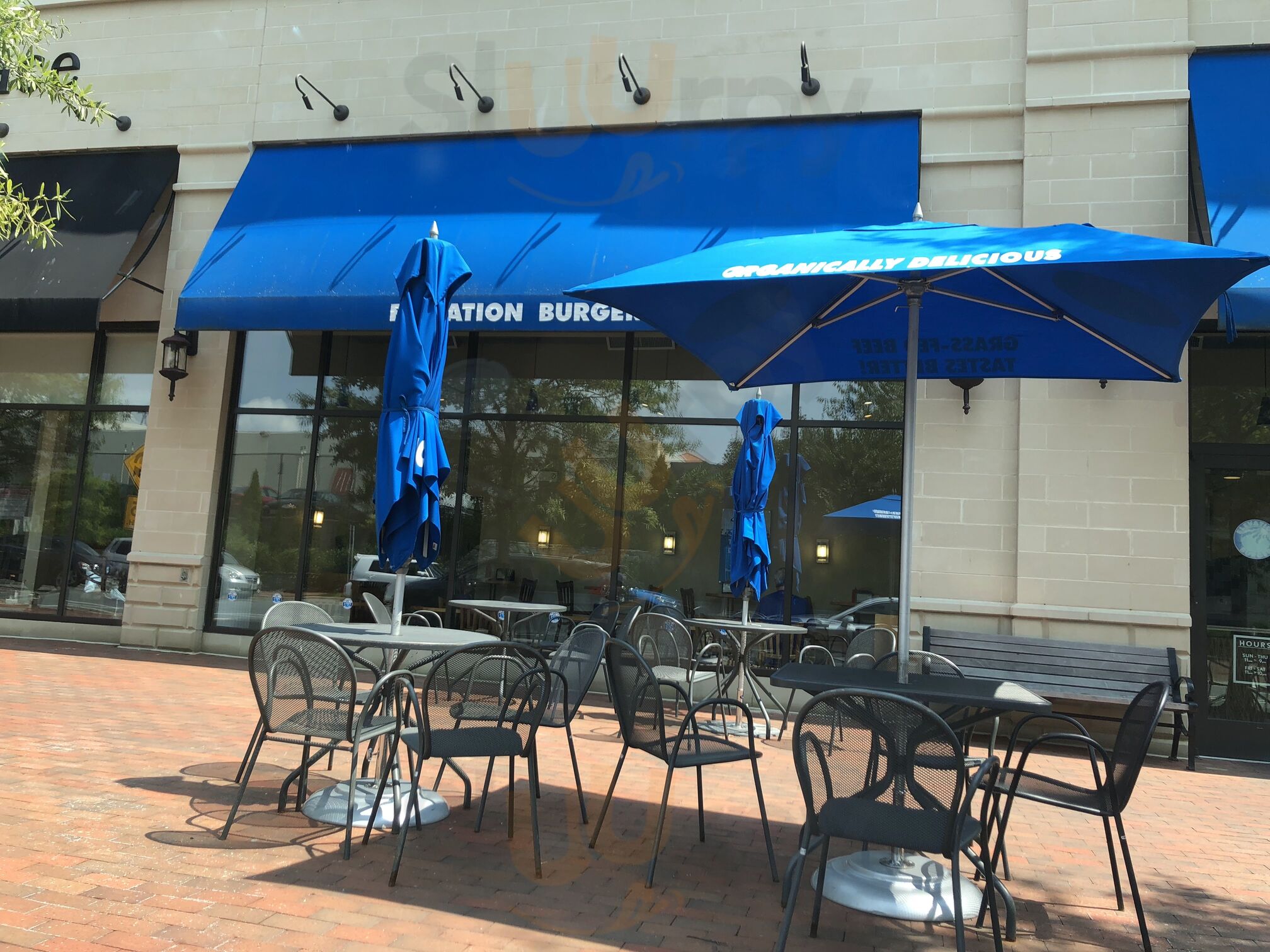 Elevation Burger